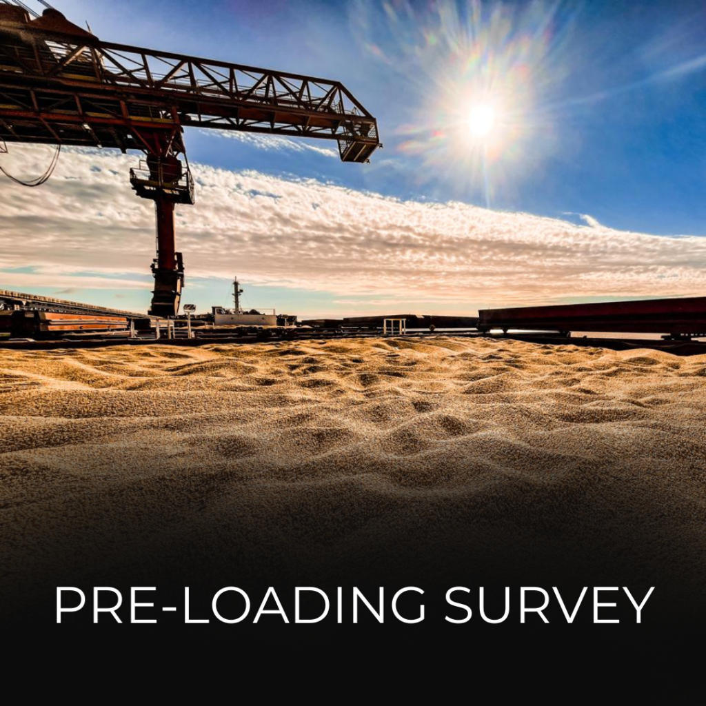 P L SURVEY